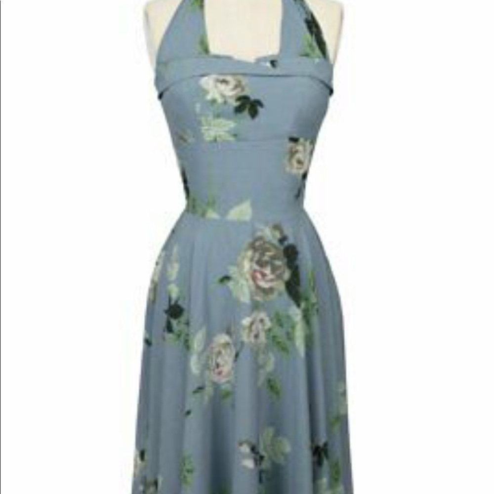 Trashy Diva French blue Roses Trixie dress L